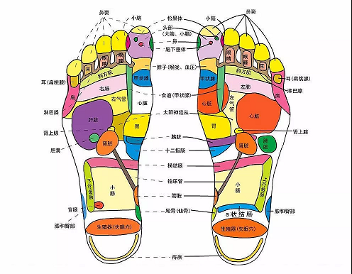 微信图片_20191018142505.bmp