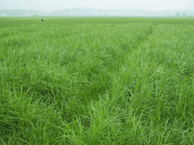 u=3509889245,3733451166&fm=26&gp=0.jpg.gif