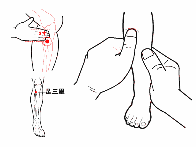image.gif