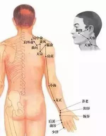 手太阳小肠经的循行路线图