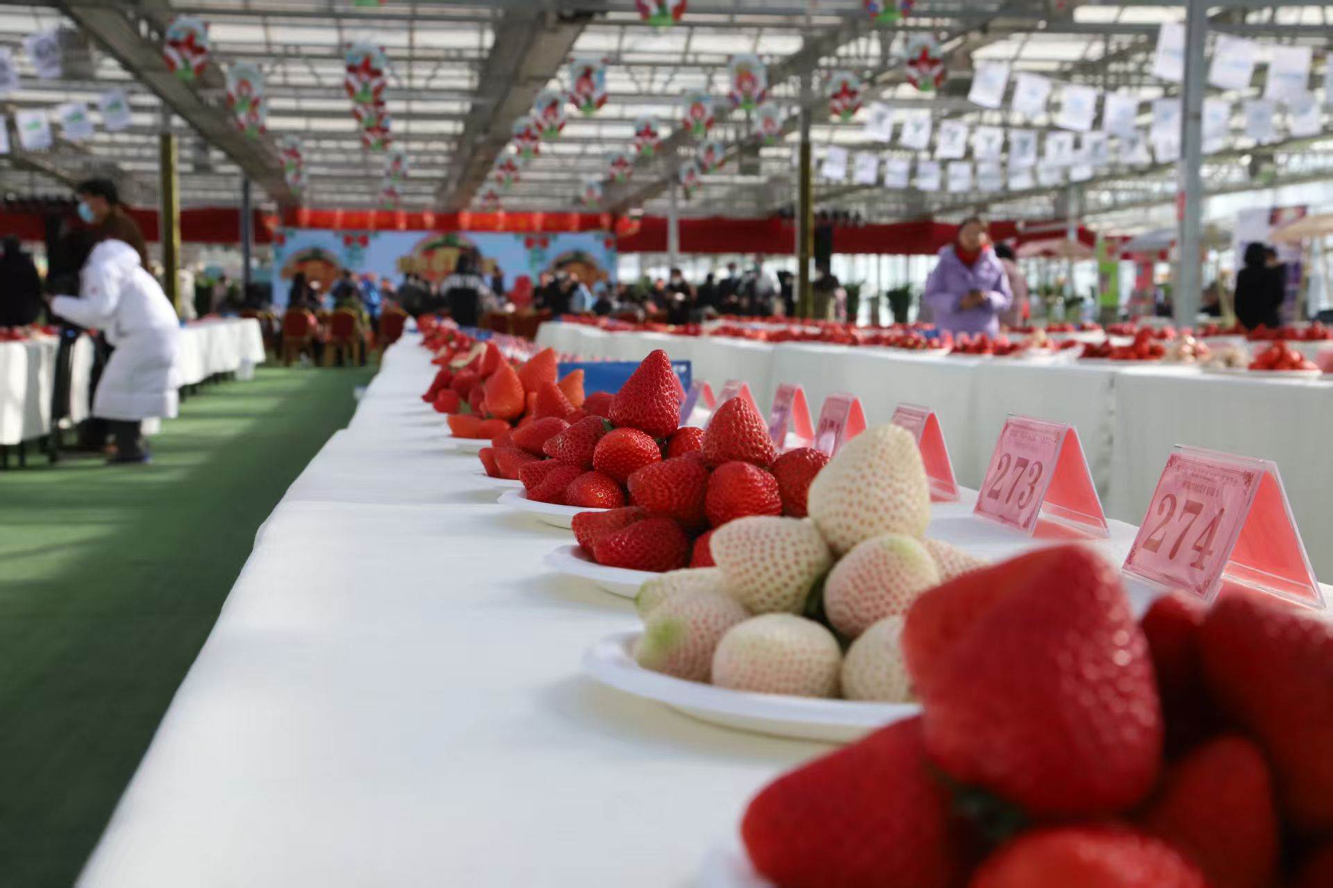 1770426350669007.jpeg WechatIMG6257.jpeg