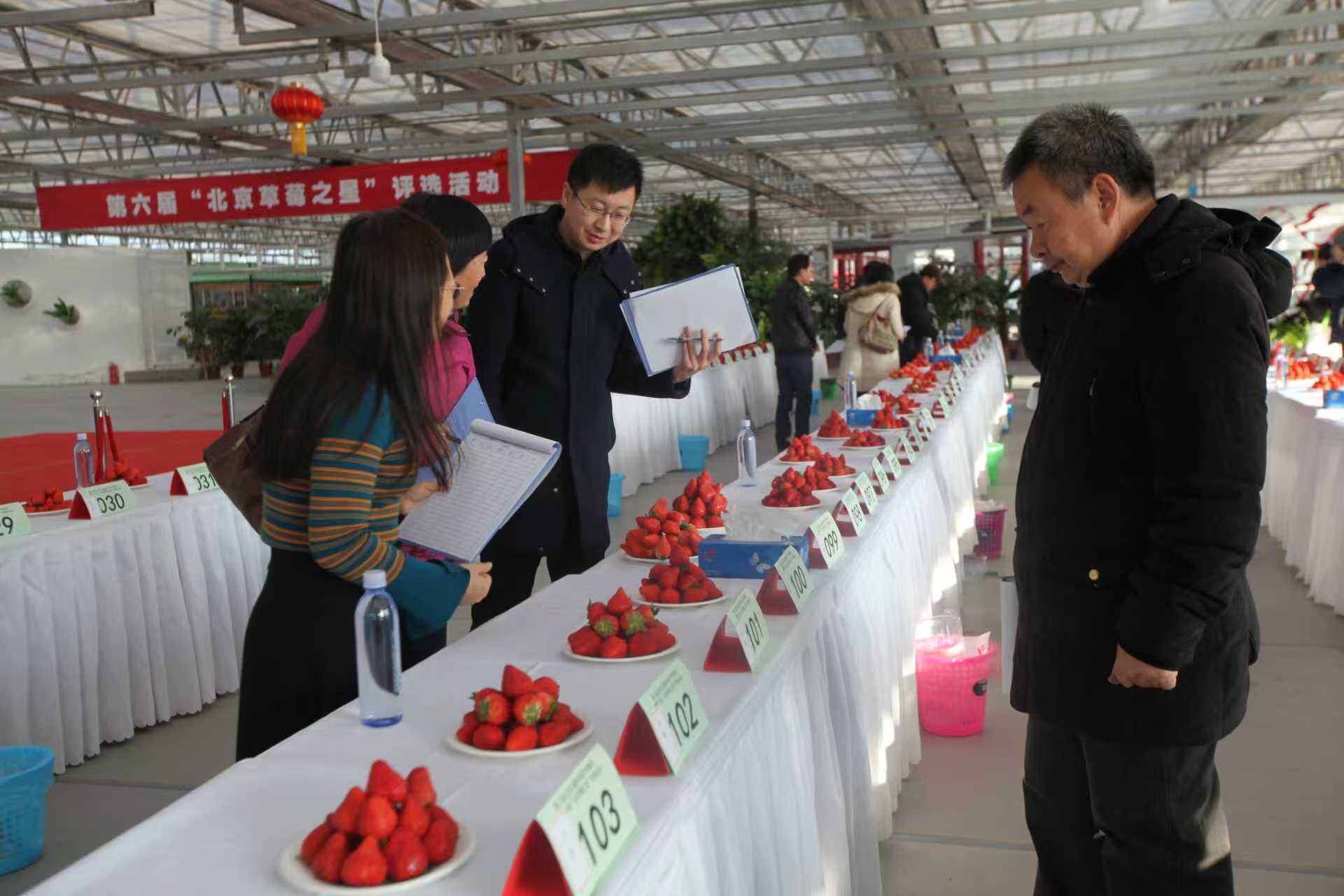 1770426376609416.jpeg WechatIMG6259.jpeg