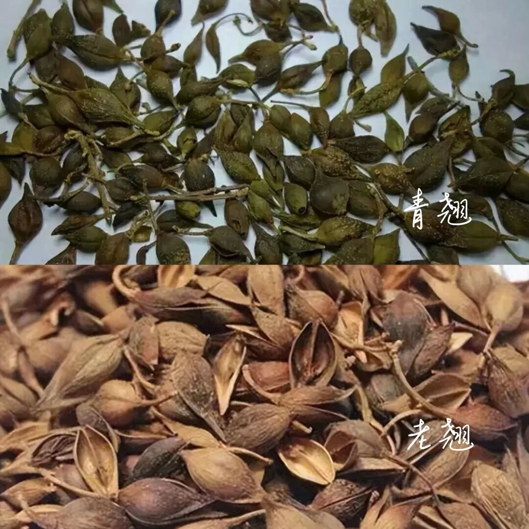 1774594120839894.jpg 75a58373808066c26920db509a2e6f79.jpg