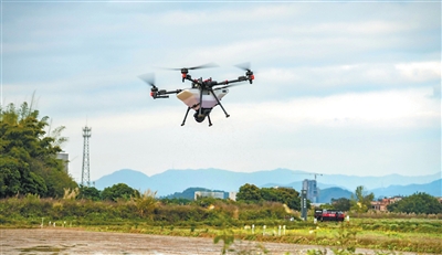 1775618063493082.jpg 77545046-7666-45e5-8a27-1bc78eba74ff-1.jpg