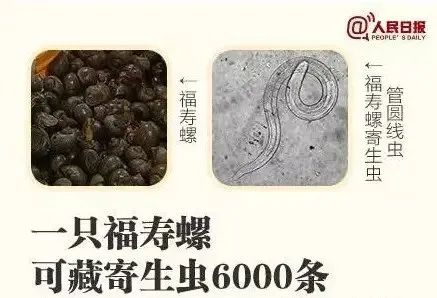 1775631074689742.jpg bacfa129ed5c868d90bf5e3771bc4ed2.jpg