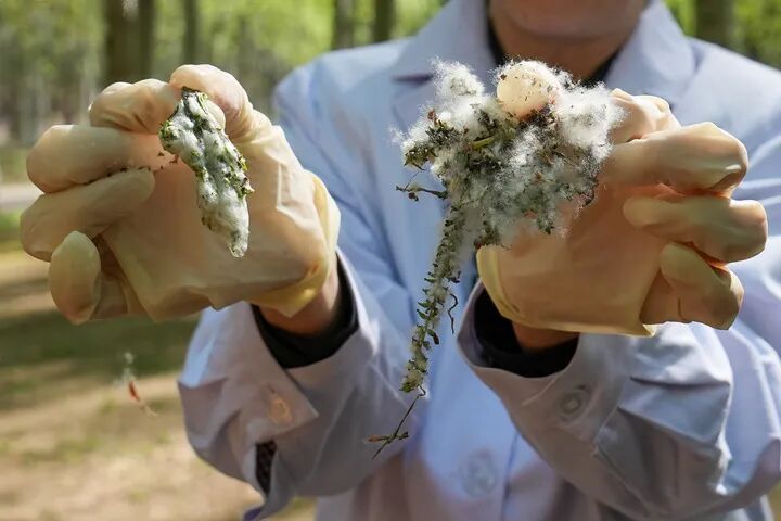 1776065786832837.jpg 1e486f63c3f9ae9b4de6fdf779d4457f.jpg