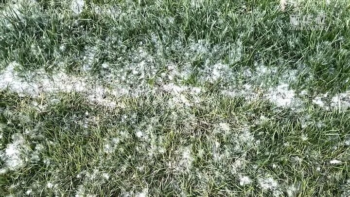 1776065801637834.jpg e594976e5ed3ae8c7f5b10b78126560c.jpg