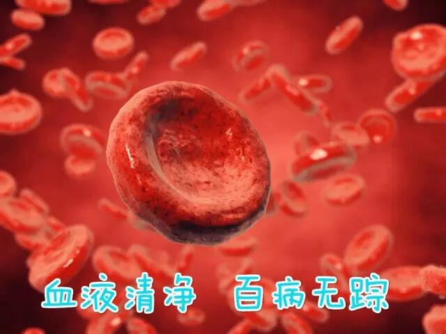 a59cb5e5a440fb915db1bc18f762081c.jpg